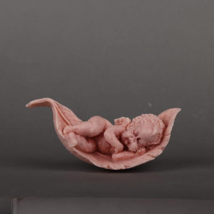 Newborn Baby Designer Soap